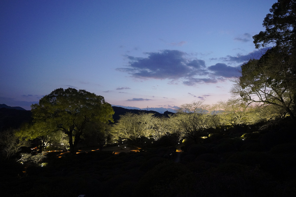 九州佐賀一日遊｜御船山樂園櫻花祭、祐徳稲荷神社、鳥栖PREMIUM OUTLETS、嬉野溫泉 @緹雅瑪 美食旅遊趣