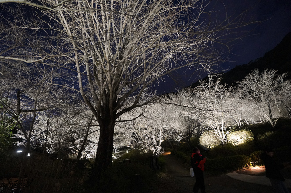 九州佐賀一日遊｜御船山樂園櫻花祭、祐徳稲荷神社、鳥栖PREMIUM OUTLETS、嬉野溫泉 @緹雅瑪 美食旅遊趣