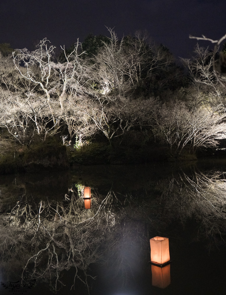 九州佐賀一日遊｜御船山樂園櫻花祭、祐徳稲荷神社、鳥栖PREMIUM OUTLETS、嬉野溫泉 @緹雅瑪 美食旅遊趣