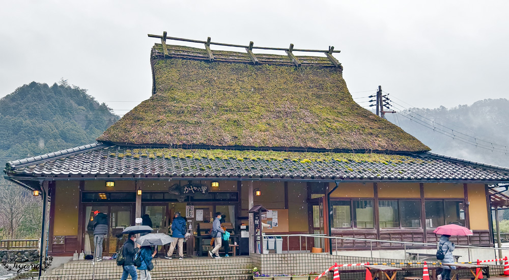 京都一日遊｜海之京都：美山茅屋之里、天橋立傘松公園、伊根灣遊船餵海鷗！KKday自組中文團京都巴士一日遊 @緹雅瑪 美食旅遊趣