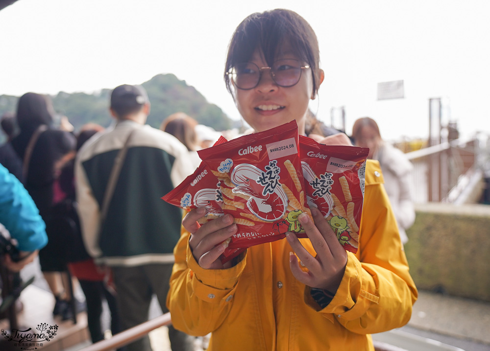 京都觀光船．伊根灣賞景觀光船，人氣海之京都景點「伊根灣古老舟屋」餵海鷗行程 @緹雅瑪 美食旅遊趣