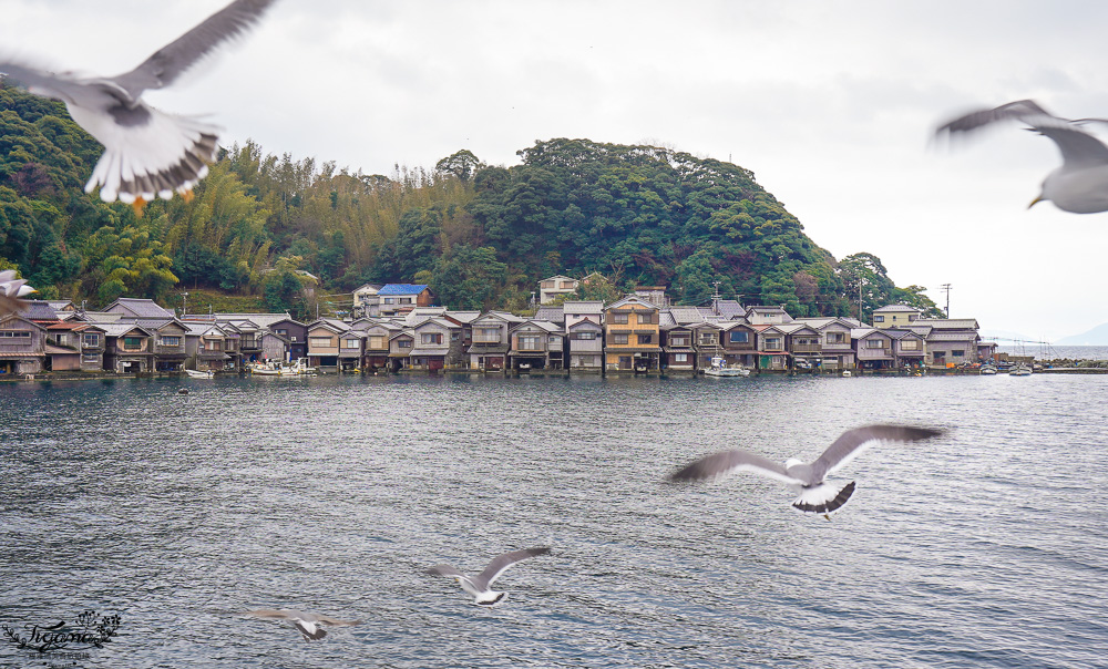 京都觀光船．伊根灣賞景觀光船，人氣海之京都景點「伊根灣古老舟屋」餵海鷗行程 @緹雅瑪 美食旅遊趣