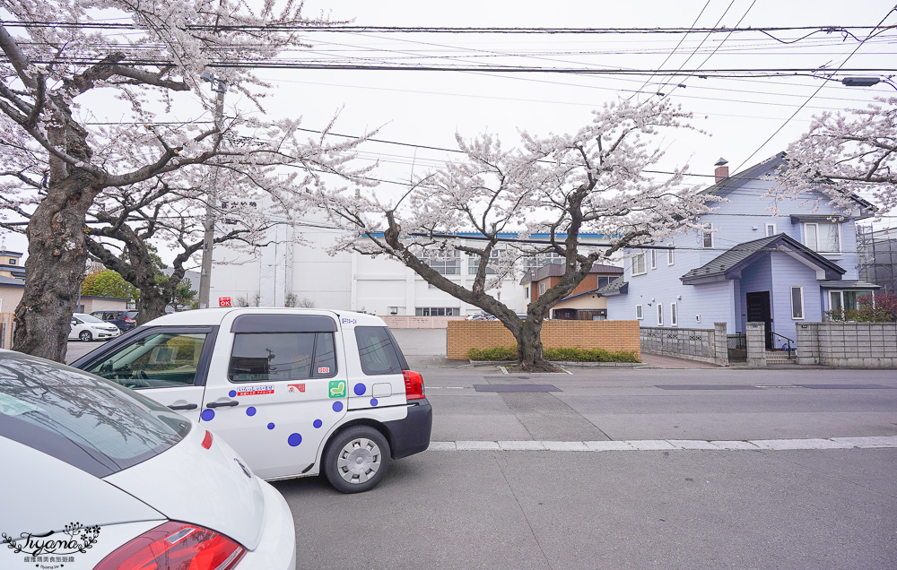 北海道賞櫻｜函館櫻花隧道秘境。櫻丘通：途中必訪「神戸こむぎ館」手工麵包新鮮出爐 @緹雅瑪 美食旅遊趣