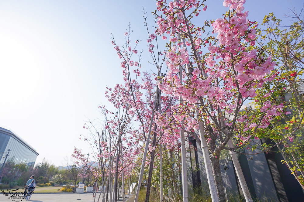 熊本購物中心「SAKURA MACHI 櫻町熊本」空中花園．敘敘苑．KOKO HOTEL Premier 熊本．大型超市「Foodway Sakuramachi Kumamoto」 @緹雅瑪 美食旅遊趣