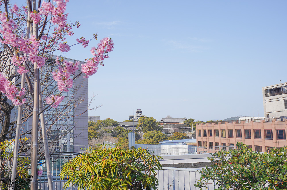 熊本購物中心「SAKURA MACHI 櫻町熊本」空中花園．敘敘苑．KOKO HOTEL Premier 熊本．大型超市「Foodway Sakuramachi Kumamoto」 @緹雅瑪 美食旅遊趣