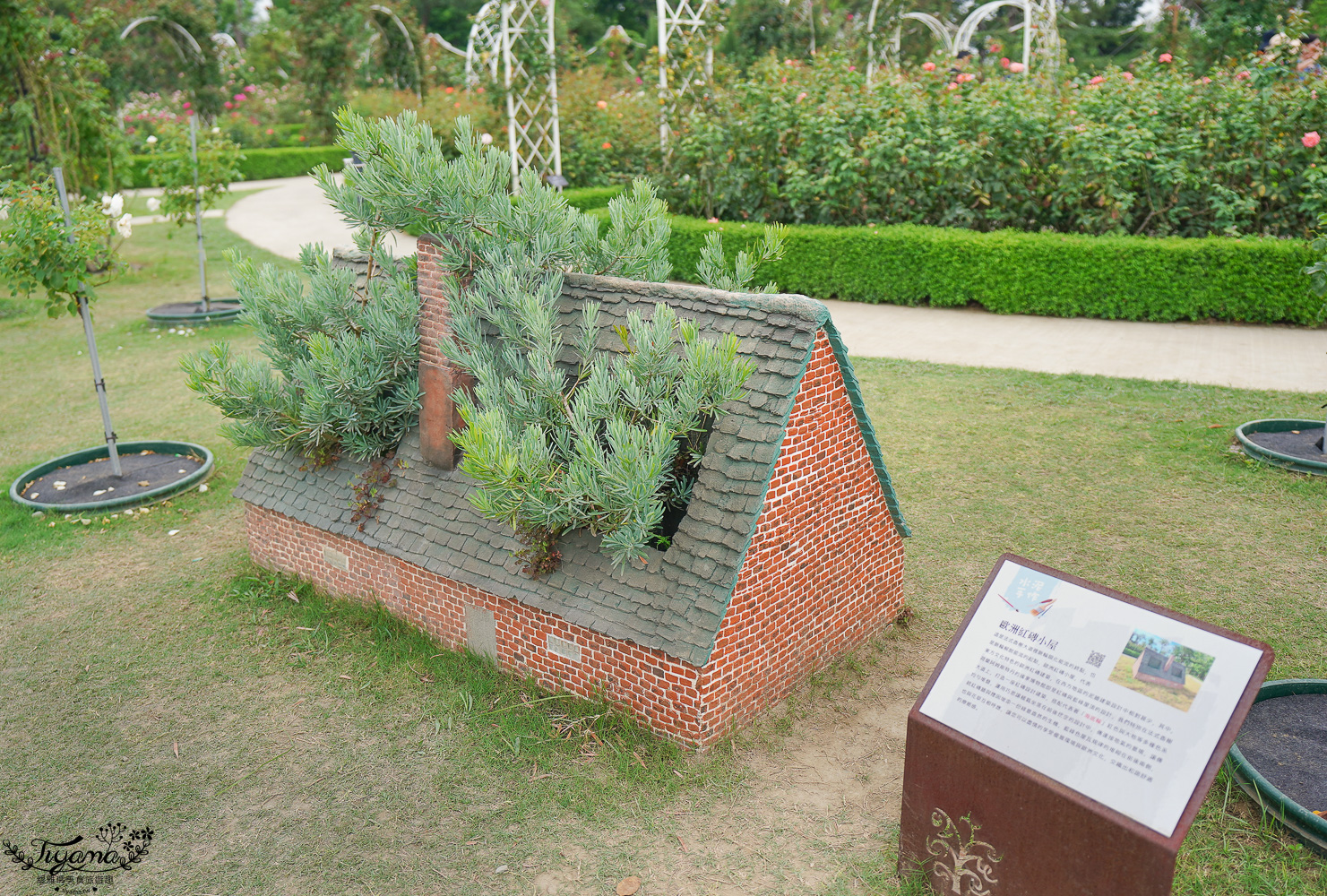 台南新景點．雅聞湖濱療癒森林：小人國歐式玫瑰花園，免門票中！！ @緹雅瑪 美食旅遊趣