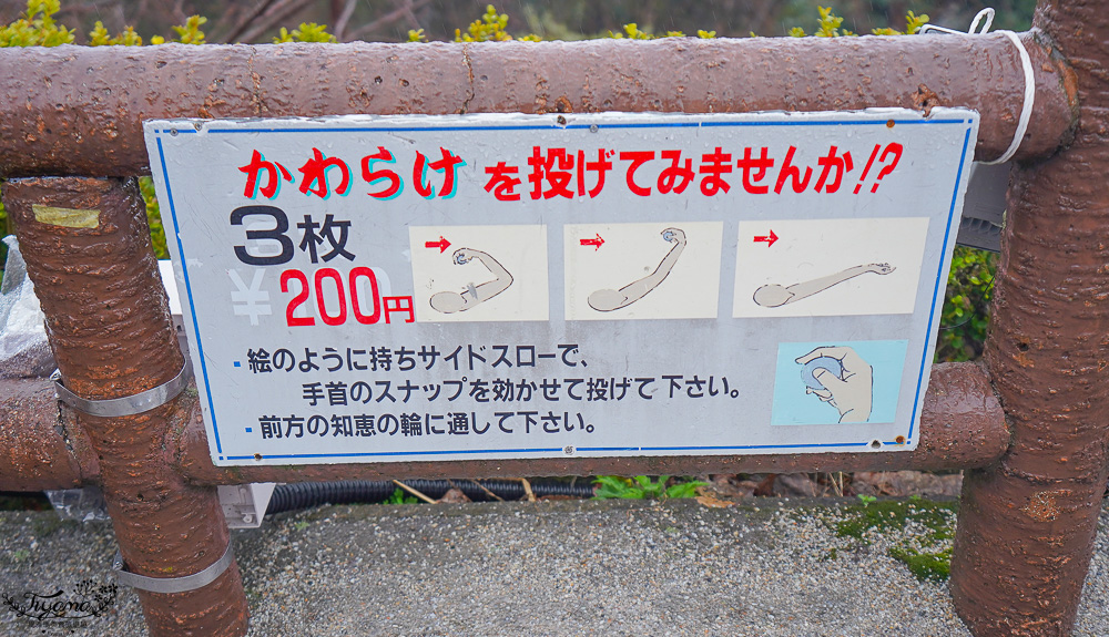 京都景點｜天橋立傘松公園｜丹後一宮 元伊勢 籠神社｜豬肉壽喜燒海鮮鍋松花堂御膳 @緹雅瑪 美食旅遊趣