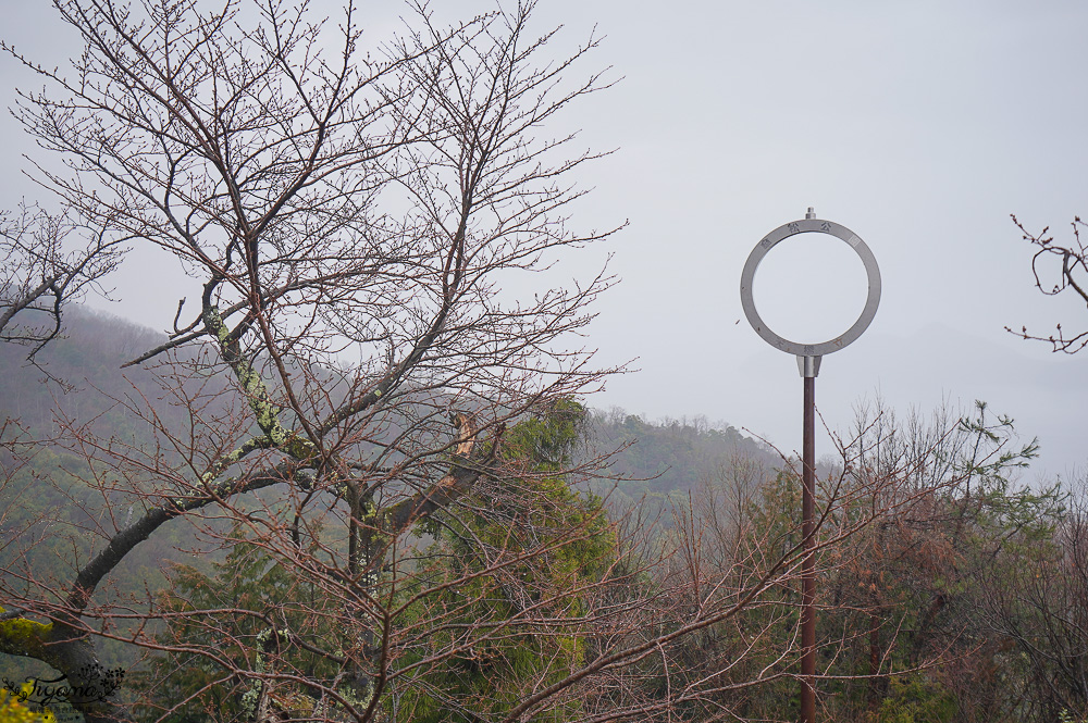 京都景點｜天橋立傘松公園｜丹後一宮 元伊勢 籠神社｜豬肉壽喜燒海鮮鍋松花堂御膳 @緹雅瑪 美食旅遊趣