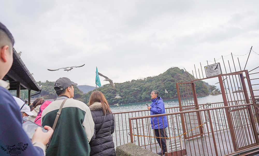 京都觀光船．伊根灣賞景觀光船，人氣海之京都景點「伊根灣古老舟屋」餵海鷗行程 @緹雅瑪 美食旅遊趣