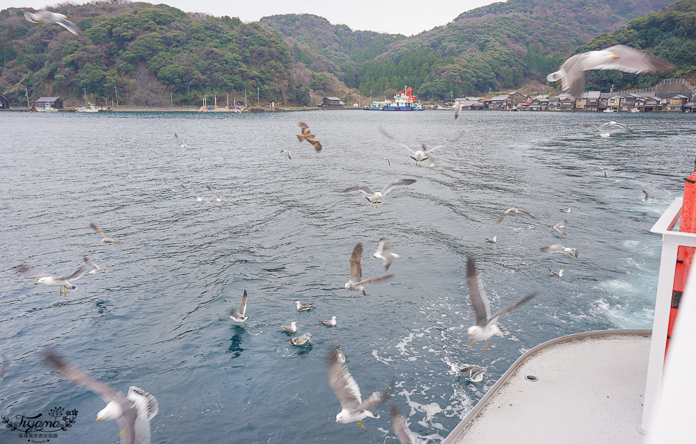 京都觀光船．伊根灣賞景觀光船，人氣海之京都景點「伊根灣古老舟屋」餵海鷗行程 @緹雅瑪 美食旅遊趣