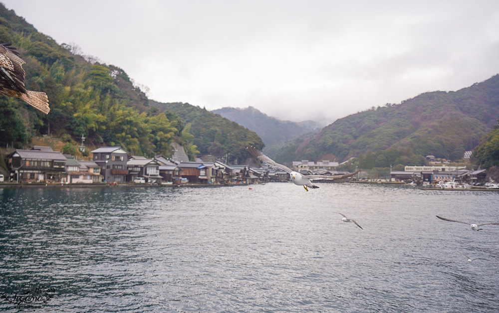 京都觀光船．伊根灣賞景觀光船，人氣海之京都景點「伊根灣古老舟屋」餵海鷗行程 @緹雅瑪 美食旅遊趣