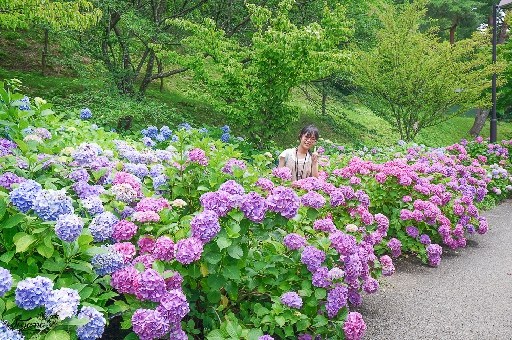 福島繡球花秘境「龜城公園」開滿山坡的美麗紫陽花，兒童遊戲設施.戲水池 @緹雅瑪 美食旅遊趣