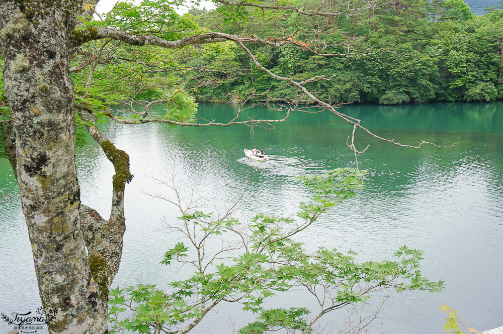 福島景點｜五色沼 毘沙門沼傳說，達成戀愛心願的「心形鯉魚」 @緹雅瑪 美食旅遊趣