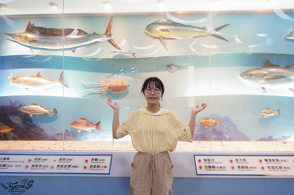 澎湖景點「澎湖縣立文化局海洋資源館」精美豐富的海洋解說模型、漁業作業知識 @緹雅瑪 美食旅遊趣