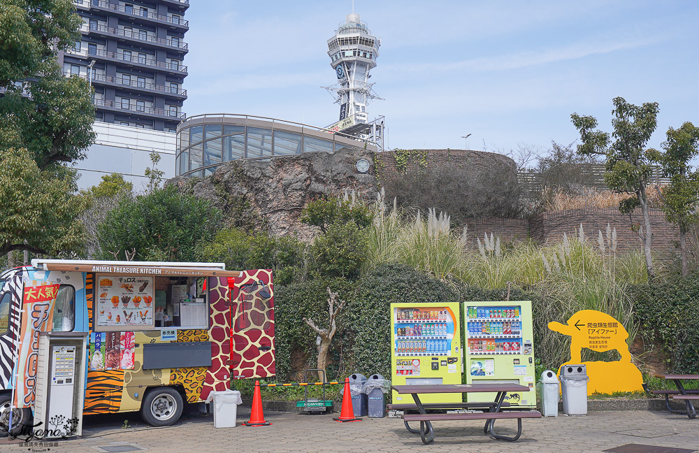 大阪景點。大阪市天王寺動物園，大阪周遊卡可免費入園，通天閣旁的人氣景點 @緹雅瑪 美食旅遊趣