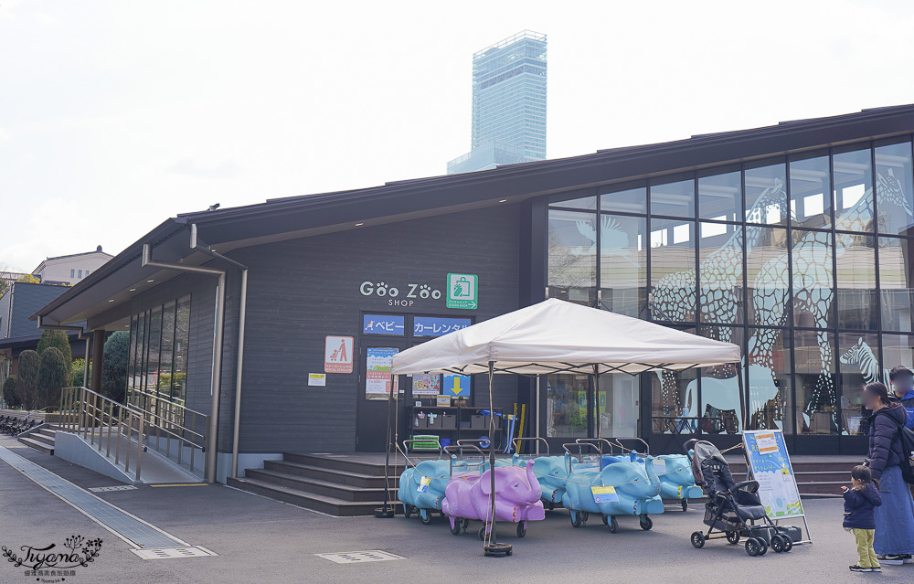 大阪景點。大阪市天王寺動物園，大阪周遊卡可免費入園，通天閣旁的人氣景點 @緹雅瑪 美食旅遊趣