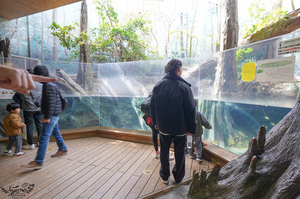 大阪景點。大阪市天王寺動物園，大阪周遊卡可免費入園，通天閣旁的人氣景點 @緹雅瑪 美食旅遊趣