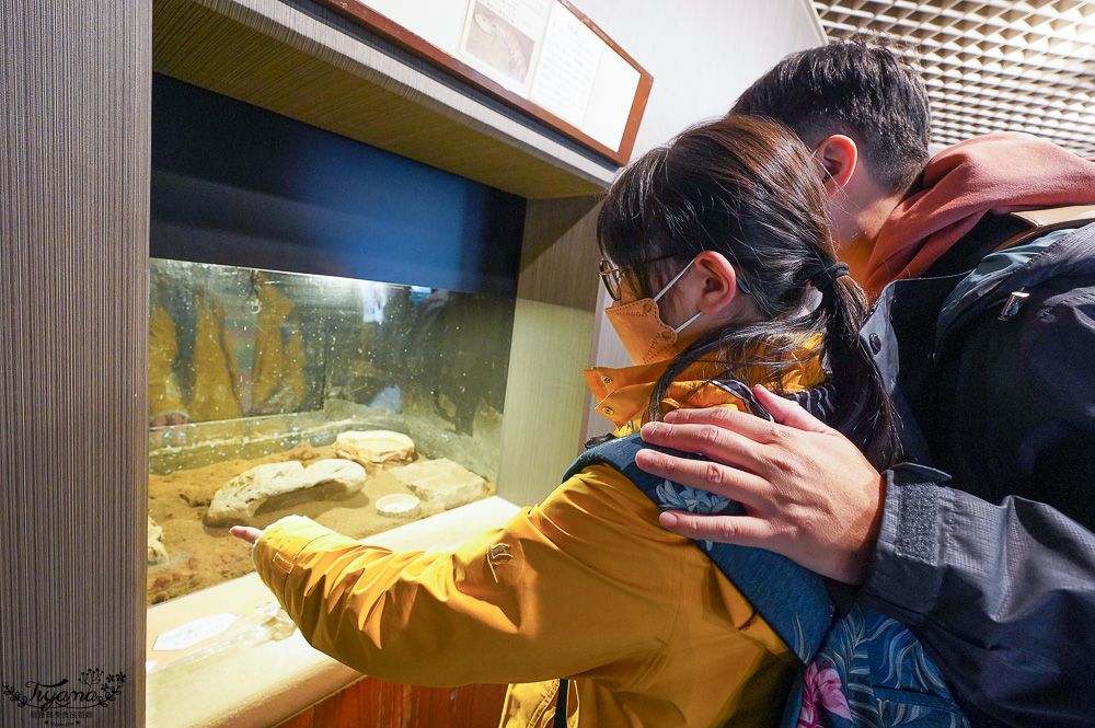 大阪景點。大阪市天王寺動物園，大阪周遊卡可免費入園，通天閣旁的人氣景點 @緹雅瑪 美食旅遊趣