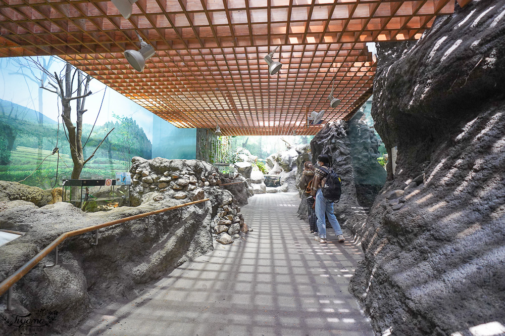 大阪景點。大阪市天王寺動物園，大阪周遊卡可免費入園，通天閣旁的人氣景點 @緹雅瑪 美食旅遊趣