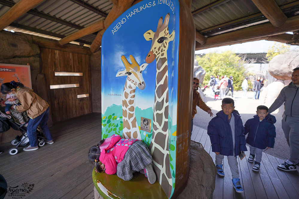 大阪景點。大阪市天王寺動物園，大阪周遊卡可免費入園，通天閣旁的人氣景點 @緹雅瑪 美食旅遊趣