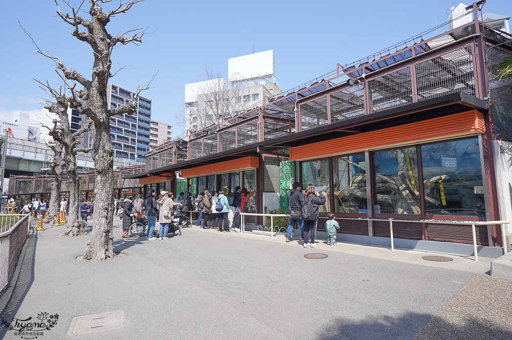 大阪景點。大阪市天王寺動物園，大阪周遊卡可免費入園，通天閣旁的人氣景點 @緹雅瑪 美食旅遊趣