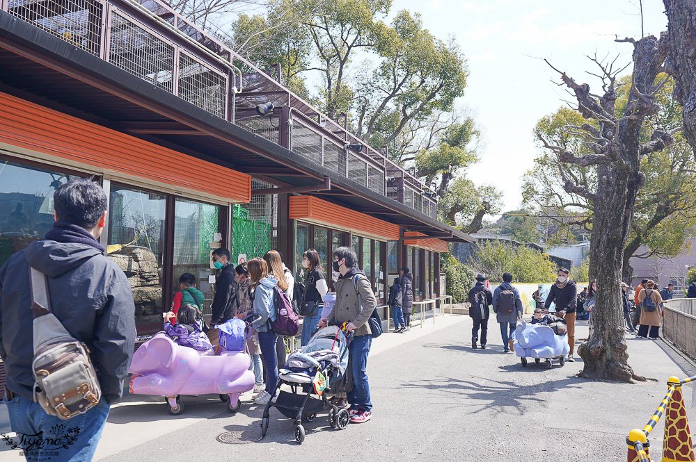 大阪景點。大阪市天王寺動物園，大阪周遊卡可免費入園，通天閣旁的人氣景點 @緹雅瑪 美食旅遊趣