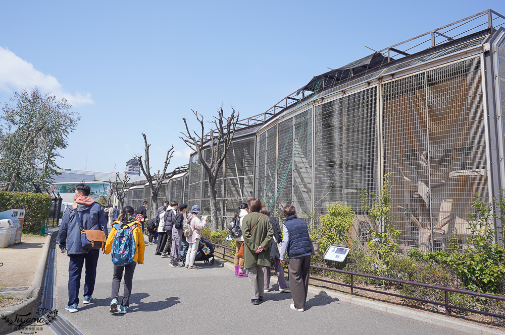 大阪景點。大阪市天王寺動物園，大阪周遊卡可免費入園，通天閣旁的人氣景點 @緹雅瑪 美食旅遊趣