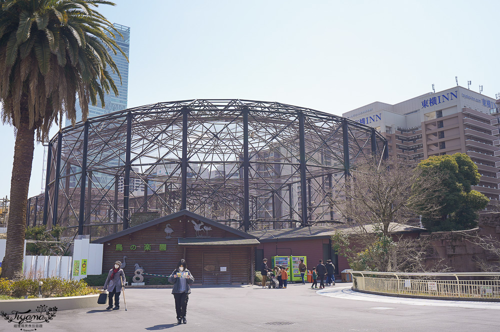 大阪景點。大阪市天王寺動物園，大阪周遊卡可免費入園，通天閣旁的人氣景點 @緹雅瑪 美食旅遊趣