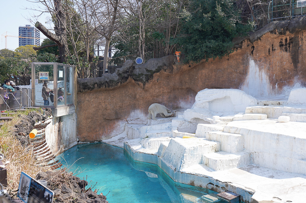 大阪景點。大阪市天王寺動物園，大阪周遊卡可免費入園，通天閣旁的人氣景點 @緹雅瑪 美食旅遊趣