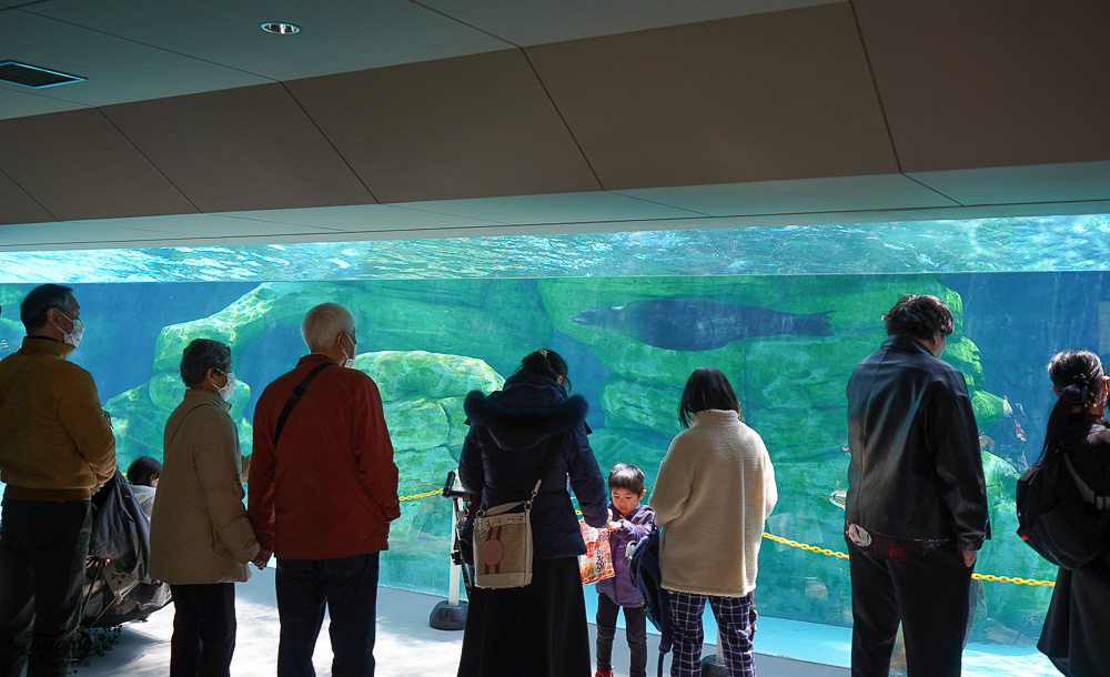 大阪景點。大阪市天王寺動物園，大阪周遊卡可免費入園，通天閣旁的人氣景點 @緹雅瑪 美食旅遊趣