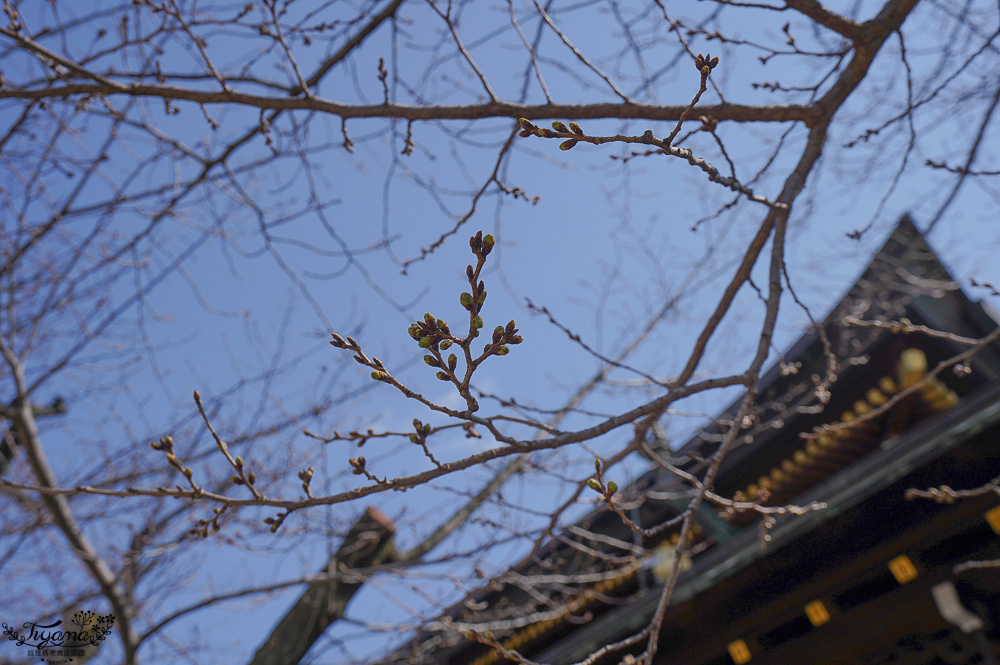 大阪神社。大阪天滿宮，學問之神「菅原道真」求學必拜神社 @緹雅瑪 美食旅遊趣