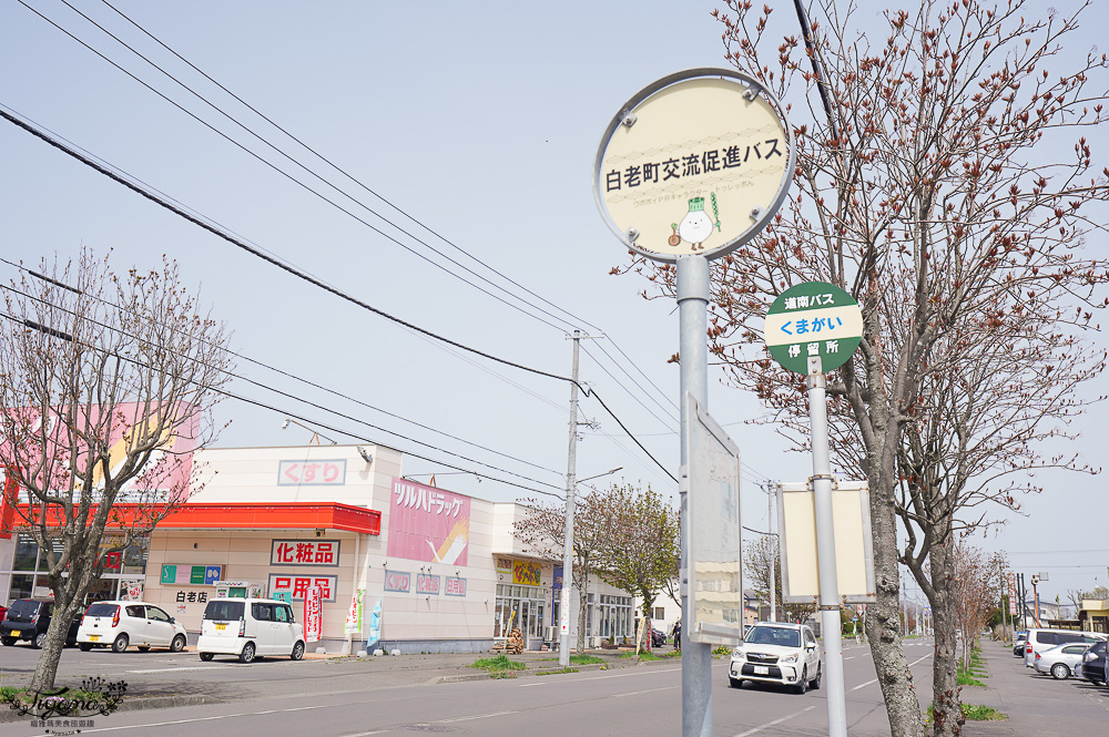 北海道超市推薦。在地海鮮超市「ラッキーマート白老店 (原Super Kumagai)」 @緹雅瑪 美食旅遊趣