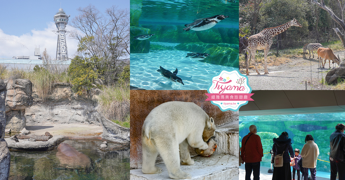 大阪景點。大阪市天王寺動物園，大阪周遊卡可免費入園，通天閣旁的人氣景點 @緹雅瑪 美食旅遊趣