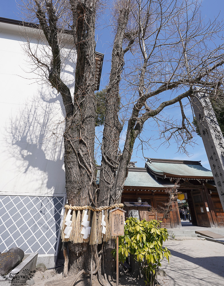 福岡神社。博多祗園山笠「櫛田神社」，參拜博多總守護神奧櫛田先生的神社 @緹雅瑪 美食旅遊趣