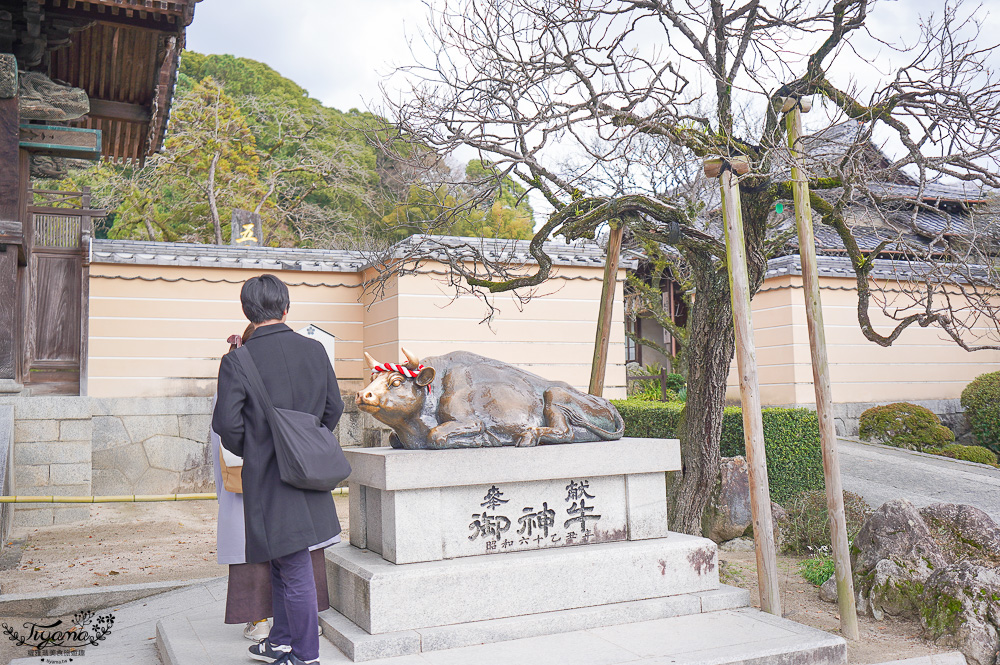 九州福岡「太宰府天滿宮」太宰府半日遊，參拜學問之神，太宰府參道前吃美食 @緹雅瑪 美食旅遊趣