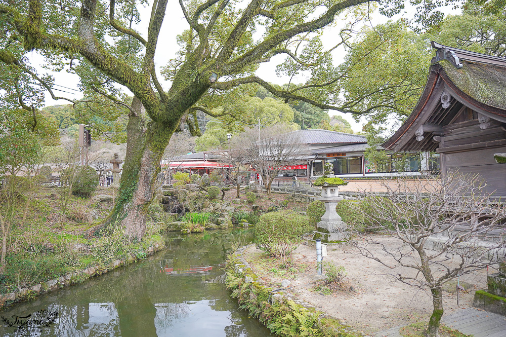 九州福岡「太宰府天滿宮」太宰府半日遊，參拜學問之神，太宰府參道前吃美食 @緹雅瑪 美食旅遊趣