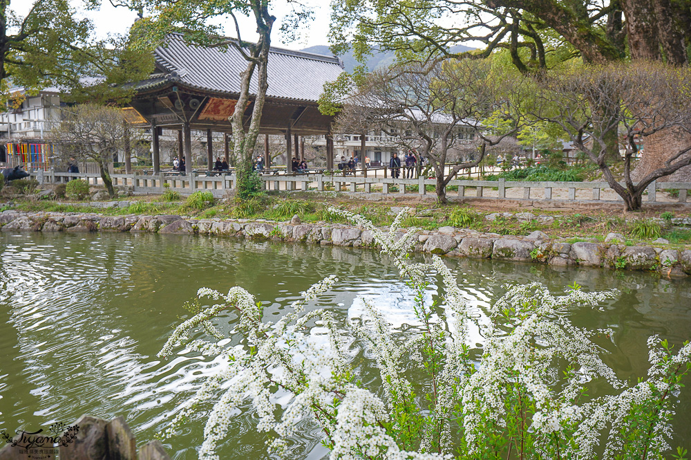 九州福岡「太宰府天滿宮」太宰府半日遊，參拜學問之神，太宰府參道前吃美食 @緹雅瑪 美食旅遊趣