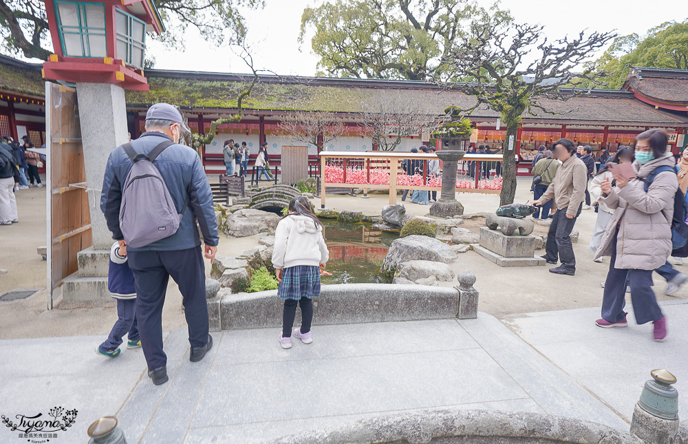 九州福岡「太宰府天滿宮」太宰府半日遊，參拜學問之神，太宰府參道前吃美食 @緹雅瑪 美食旅遊趣