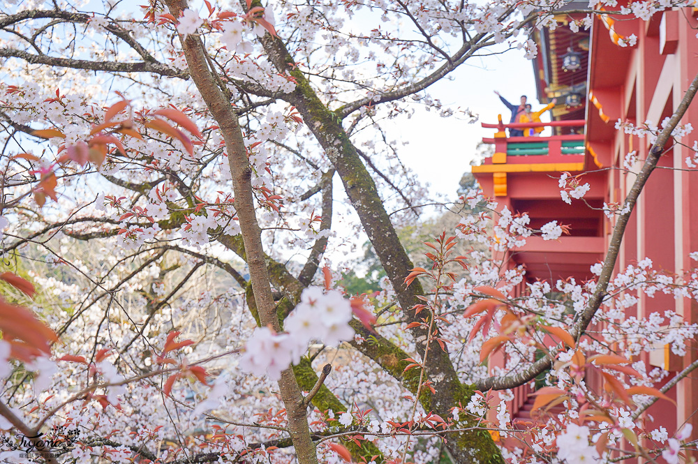 佐賀景點．絕美「祐德稻荷神社」日本著名的三大稻荷神社之一 @緹雅瑪 美食旅遊趣