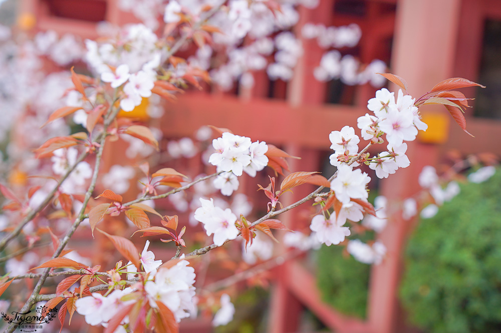 佐賀景點．絕美「祐德稻荷神社」日本著名的三大稻荷神社之一 @緹雅瑪 美食旅遊趣