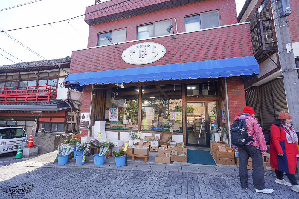 佐賀景點．嬉野溫泉：佐賀溫泉老街散策！來豐玉姬神社參拜美肌之神，品味溫泉湯豆腐料理 @緹雅瑪 美食旅遊趣