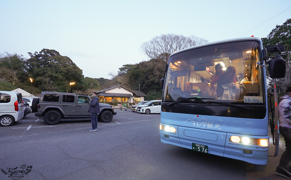 九州佐賀景點「御船山樂園」賞夜櫻.夜楓名所，teamLab 神居住之森 @緹雅瑪 美食旅遊趣