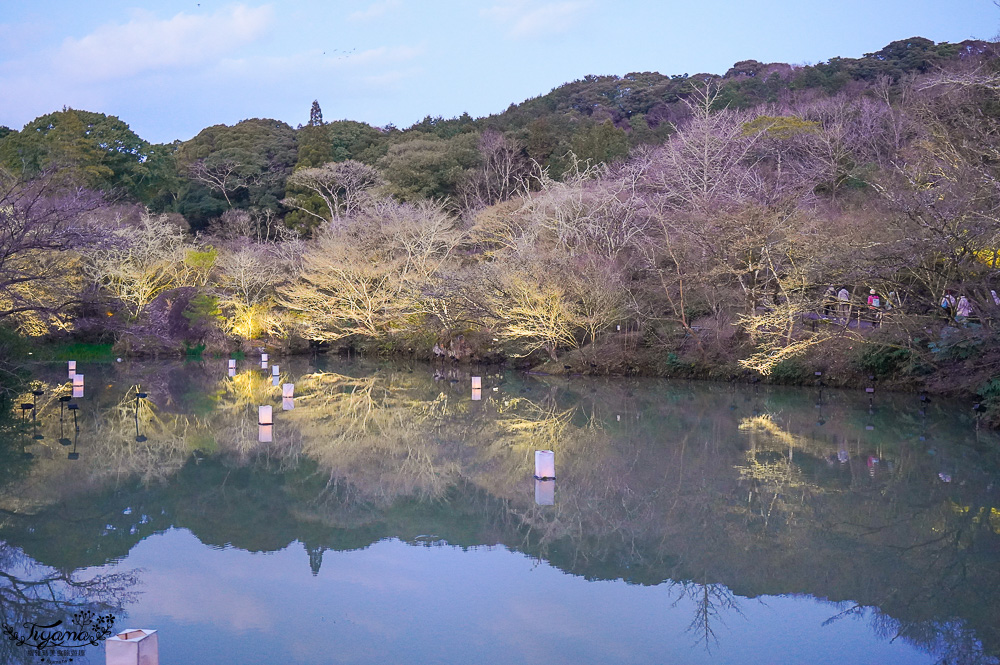 九州佐賀景點「御船山樂園」賞夜櫻.夜楓名所，teamLab 神居住之森 @緹雅瑪 美食旅遊趣