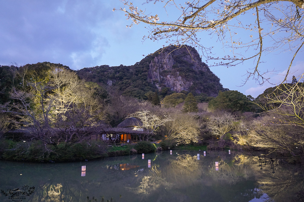 九州佐賀景點「御船山樂園」賞夜櫻.夜楓名所，teamLab 神居住之森 @緹雅瑪 美食旅遊趣