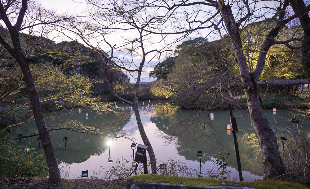 九州佐賀景點「御船山樂園」賞夜櫻.夜楓名所，teamLab 神居住之森 @緹雅瑪 美食旅遊趣