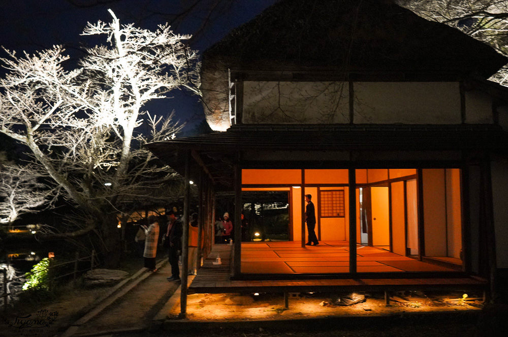 九州佐賀景點「御船山樂園」賞夜櫻.夜楓名所，teamLab 神居住之森 @緹雅瑪 美食旅遊趣