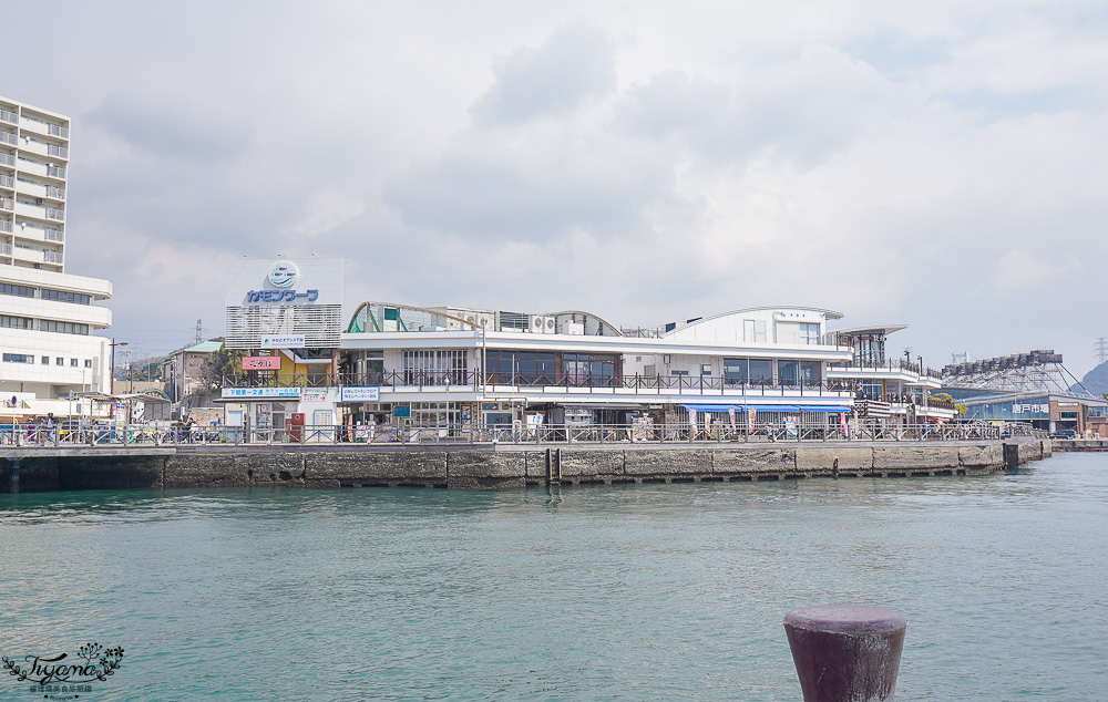 門司港唐戶市場之旅！！搭「関門汽船」從門司港到下関.唐戶市場 交通篇~ @緹雅瑪 美食旅遊趣