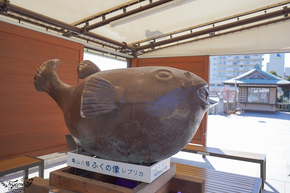 唐戶景點．龜山八幡宮｜龜山宮：日本最大花崗石鳥居，拍出海山一線美絕的河豚神宮 @緹雅瑪 美食旅遊趣