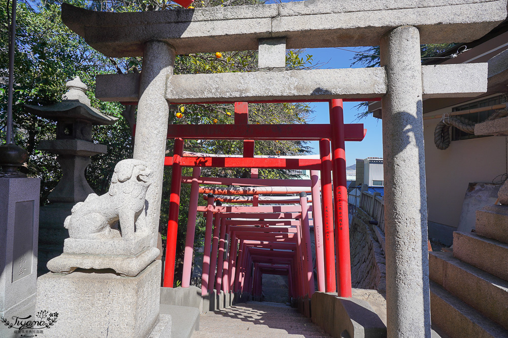 唐戶景點．龜山八幡宮｜龜山宮：日本最大花崗石鳥居，拍出海山一線美絕的河豚神宮 @緹雅瑪 美食旅遊趣