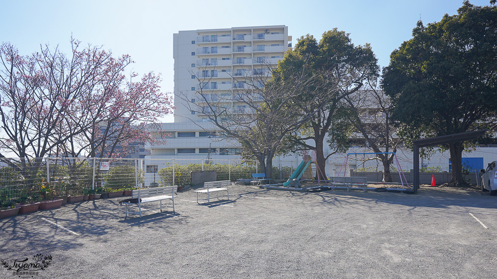 唐戶景點．龜山八幡宮｜龜山宮：日本最大花崗石鳥居，拍出海山一線美絕的河豚神宮 @緹雅瑪 美食旅遊趣